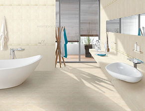 羅馬瓷磚 元素石系列產品 衛生間墻磚圖片欣賞